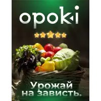 Колышки садовые композитные 12 мм х 1,5 м желтые Opoki (10 шт)