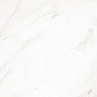Керамогранит GRACIA CERAMICA Скарлетт белый PG 01 450x450