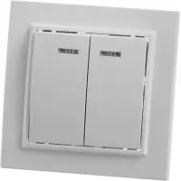 Выключатель двухклавишный СП 220V, 10А, c индикатором, белый (PSW10-9002-01) ЭРНА STEKKER