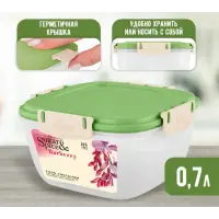 Контейнер для продуктов Sugar&Spice Барбарис герметичный 0,7л квадратный фисташка