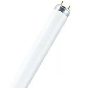 Лампа люминесцентная 36Вт G13(T8) 220В 6500K (яркий дневной) OSRAM