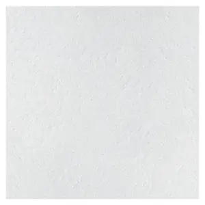 Плита потолочная ARMSTRONG RETAIL Tegular 15 1200х600х14 мм (7,2 м2, 10 шт/упак)