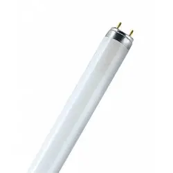 Лампа люминесцентная 36Вт G13(T8) 220В 4000К (белый) OSRAM