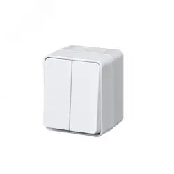 Выключатель двухклавишный ОП AtlasDesign PROFI IP54 10AX белый SE ATN540151